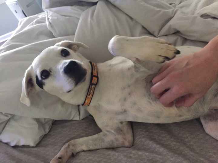 De-Stress DIY project. Yay or nay?