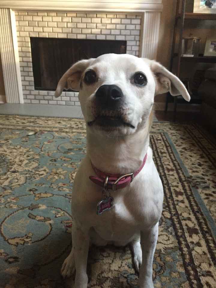 Just need to vent and cry a little