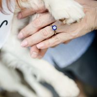 2023 Brides - Show us your ring! - 1
