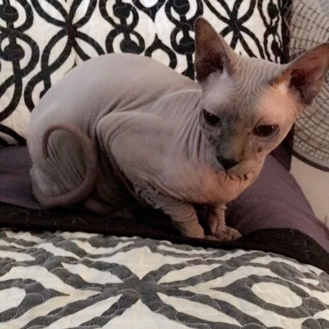 Something old, something new...