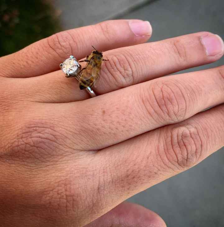 Brides of 2022! Show us your ring! - 1