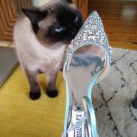 Show me your wedding foot candy (shoes)! - 1