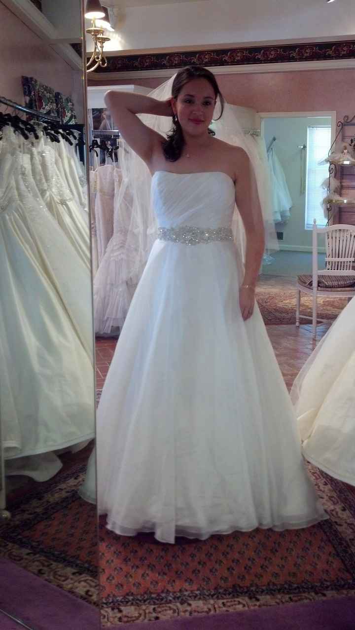 I'm so excited... (dress pics!)