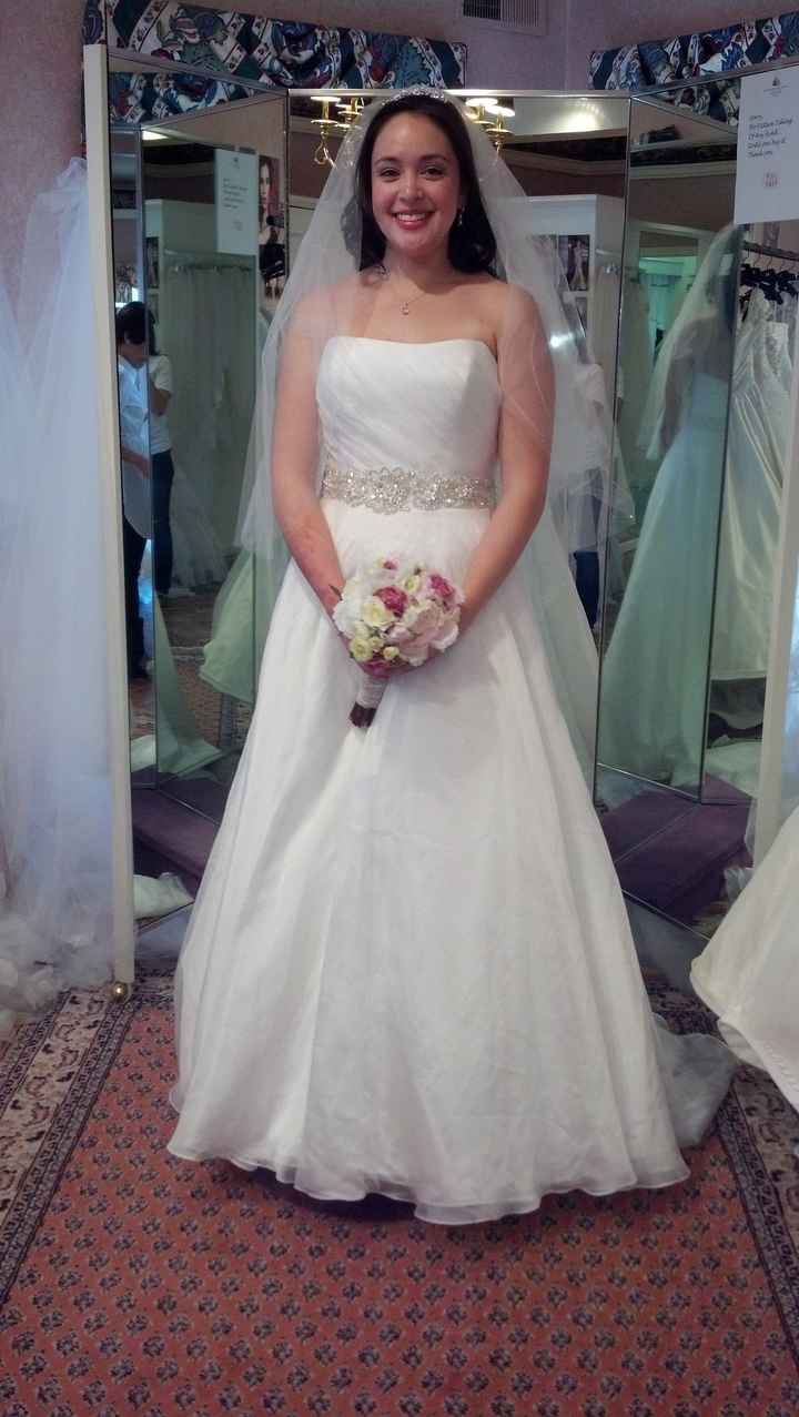 I'm so excited... (dress pics!)