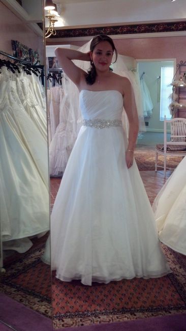 I'm so excited... (dress pics!)