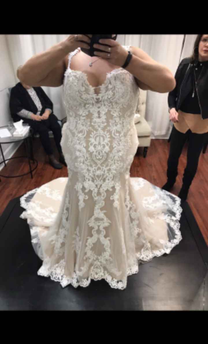 Adding a Bigger Petticoat To An Already Amazing Dress - 4