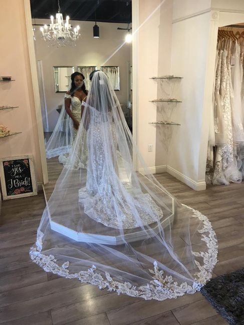 May 2020 brides show me that dress! - 1