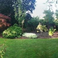 Help! Are my decoration ideas too much?