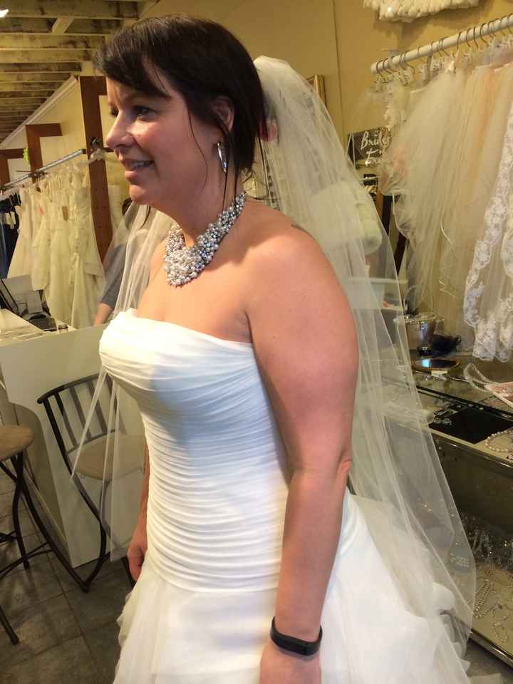 I found my dress!  Pics!