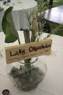 Some ideas I have for our wedding...PIC Heavy!