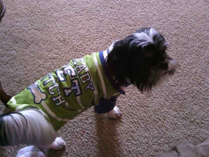 NWR: I am wondering what you feed your pet?