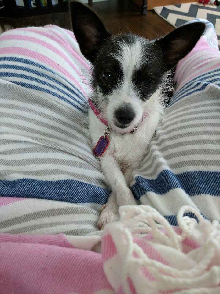 First comes loves, then comes...? - 1