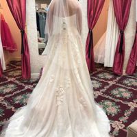 The back before alterations. I ended up going with a different vail as well!