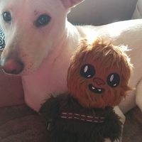 Today is National Pet Day! Let's see those fur babies :)