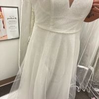 Wedding dress help! - 2
