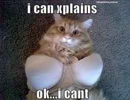 Stupid Meltdown! Words of love needed