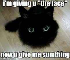 Stupid Meltdown! Words of love needed