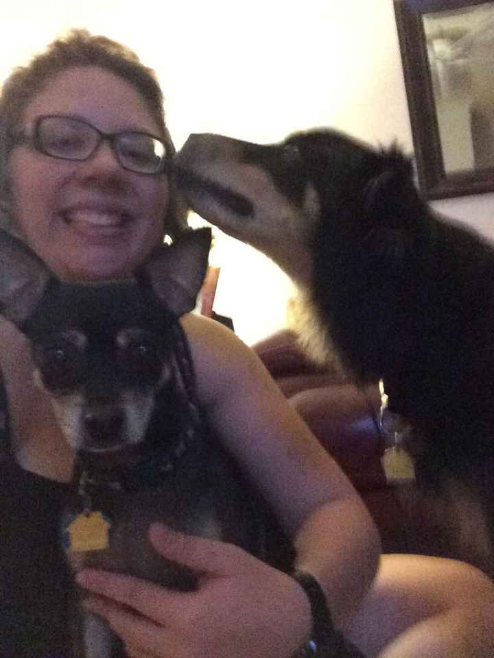 NWR-  It is my Furbaby's Birthday!