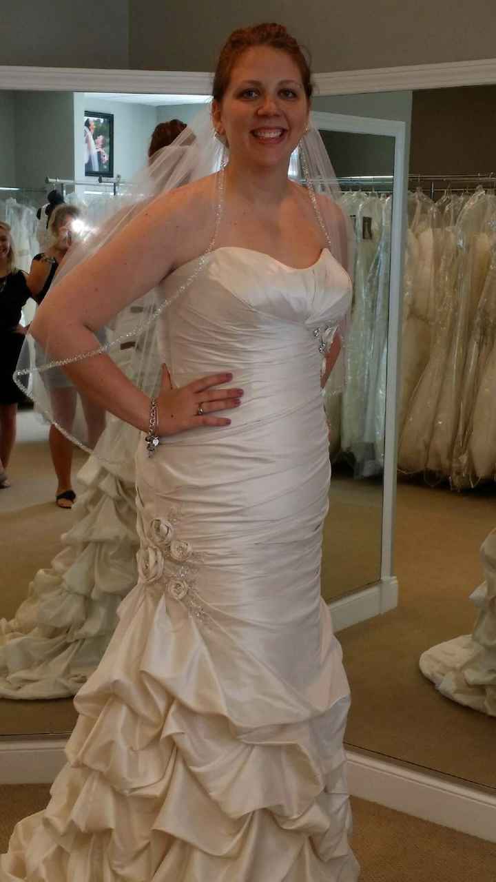 I Found My Dress!! **Pictures!**