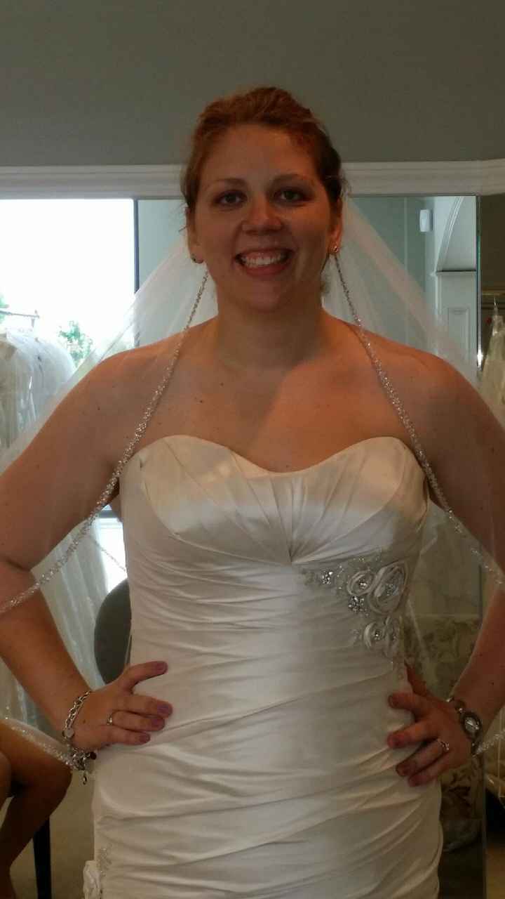 I Found My Dress!! **Pictures!**