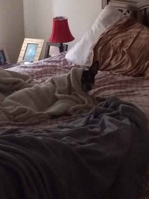 NWR- Furbaby Friday