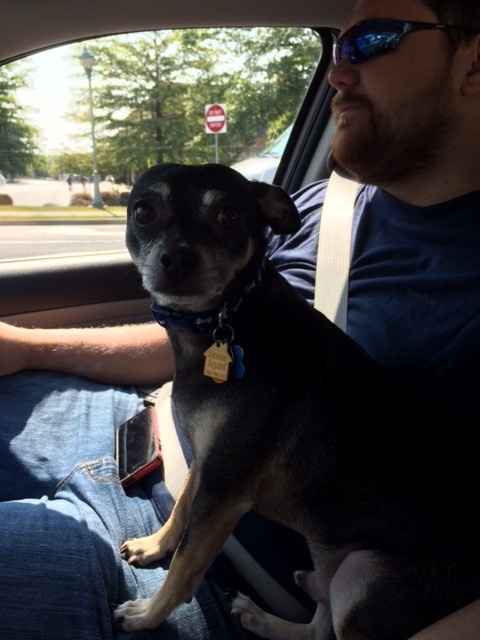 We havent had a pet post in a minute.
