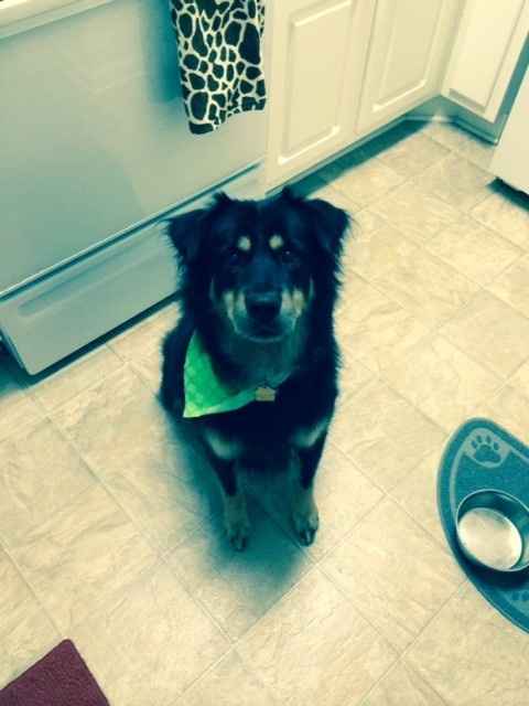 We havent had a pet post in a minute.