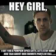 Bc I am a basic white bitch.