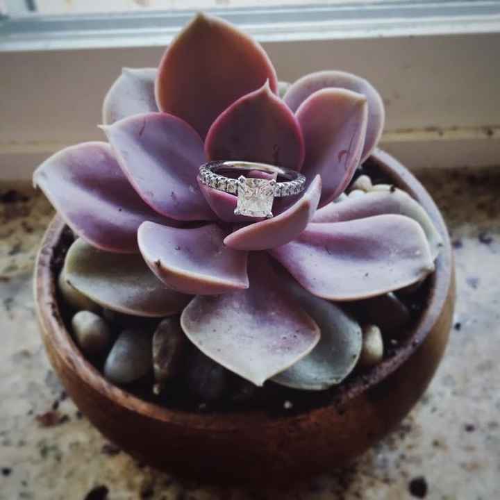 My succulent DIY favors and place cards