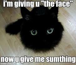 Stupid Meltdown! Words of love needed