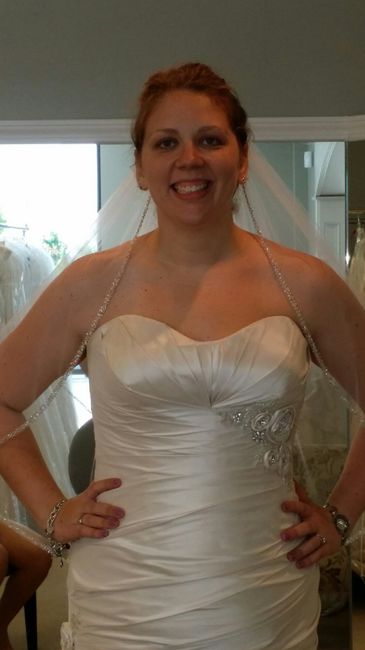 I Found My Dress!! **Pictures!**