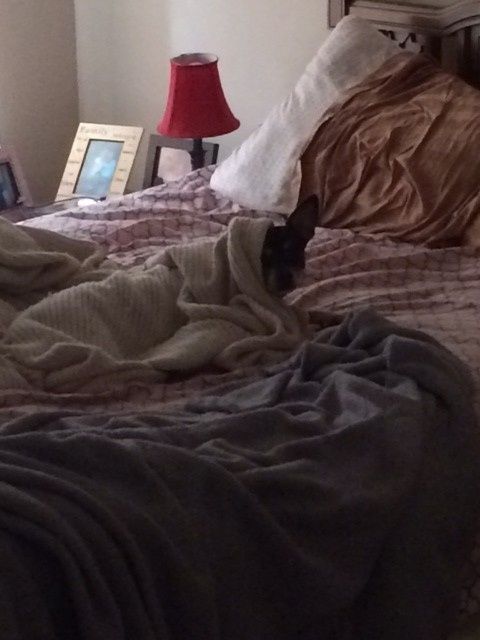 NWR- Furbaby Friday
