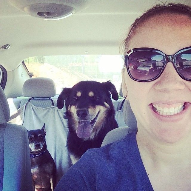 It's National Dog Day!