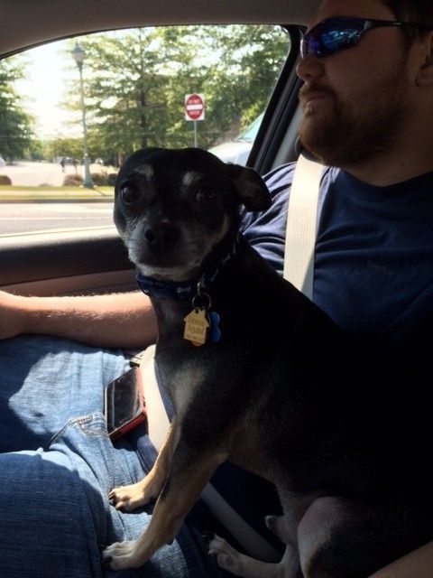 We havent had a pet post in a minute.