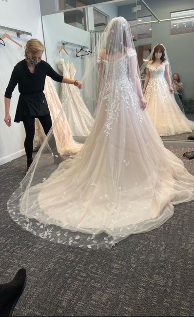 Veil for Stella York Moscato/ivory Dress 3