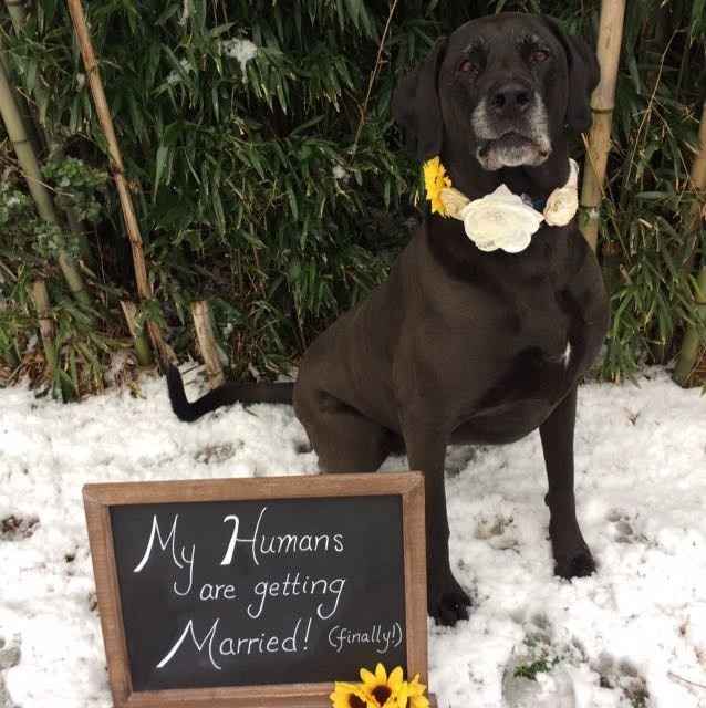 NWR: Puppies and fur babies!