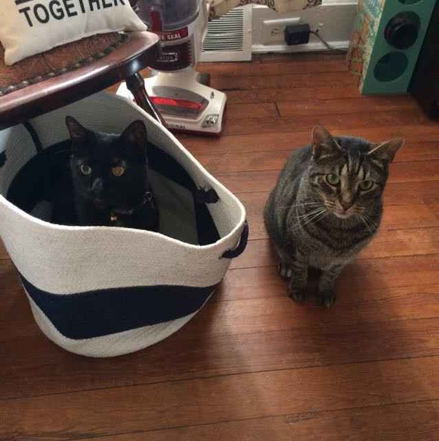 NWR: Losing my mind over...