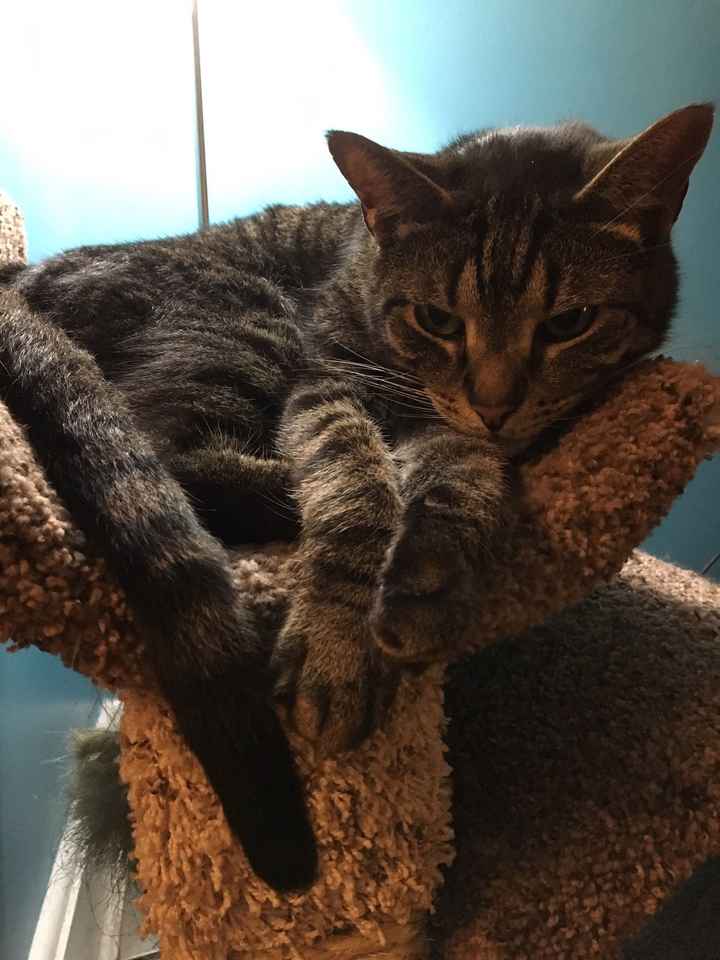 Need some positivity: Sick for the Wedding?