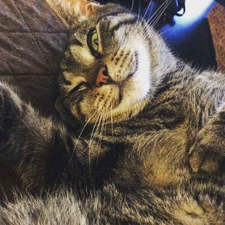 NWR today has been literal shit