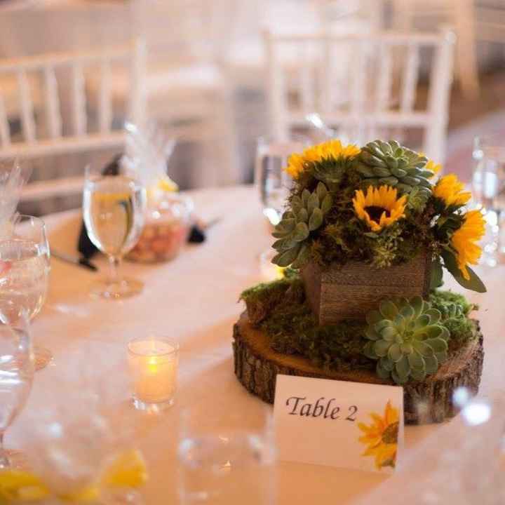 Pro Bam from September!