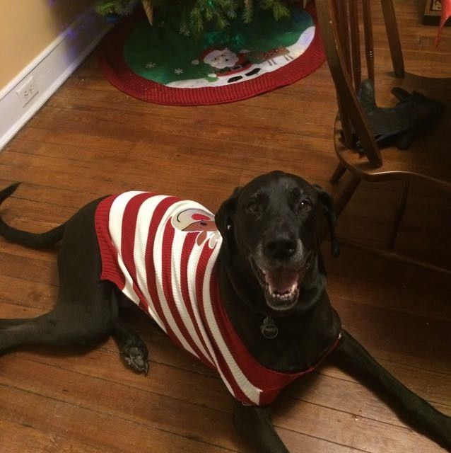 NWR: Puppy Friday!!