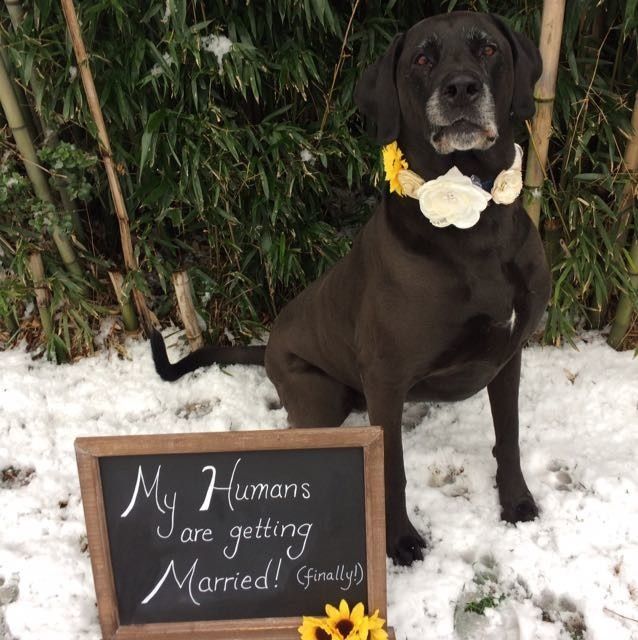 NWR: Puppies and fur babies!