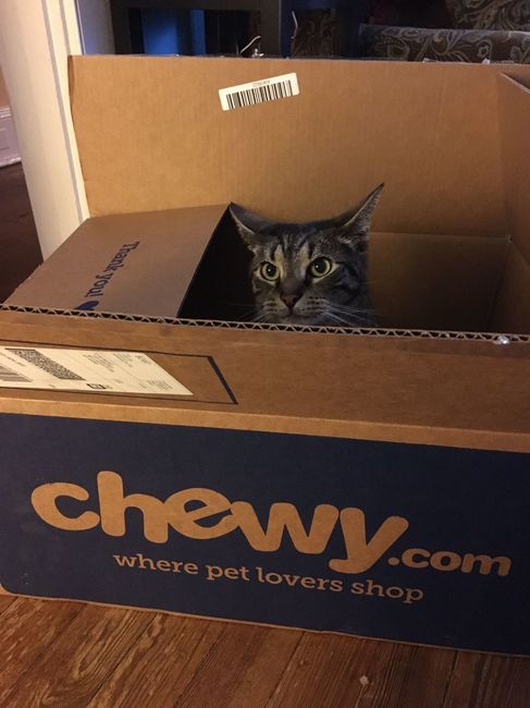 Something old, something new...