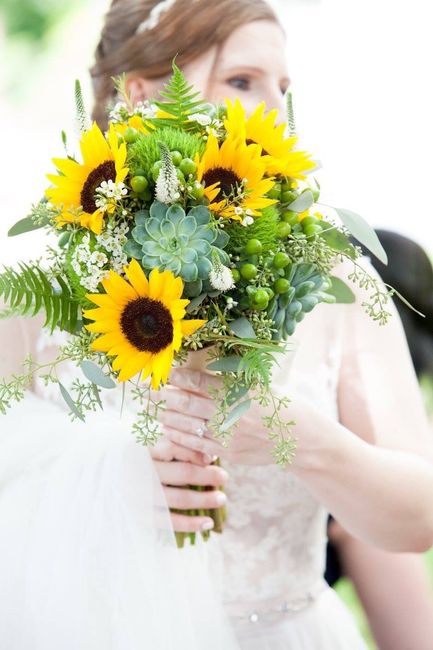 Pro Bam from September!