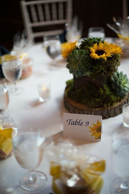 Pro Bam from September!