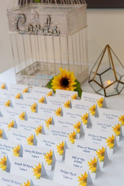 Pro Bam from September!