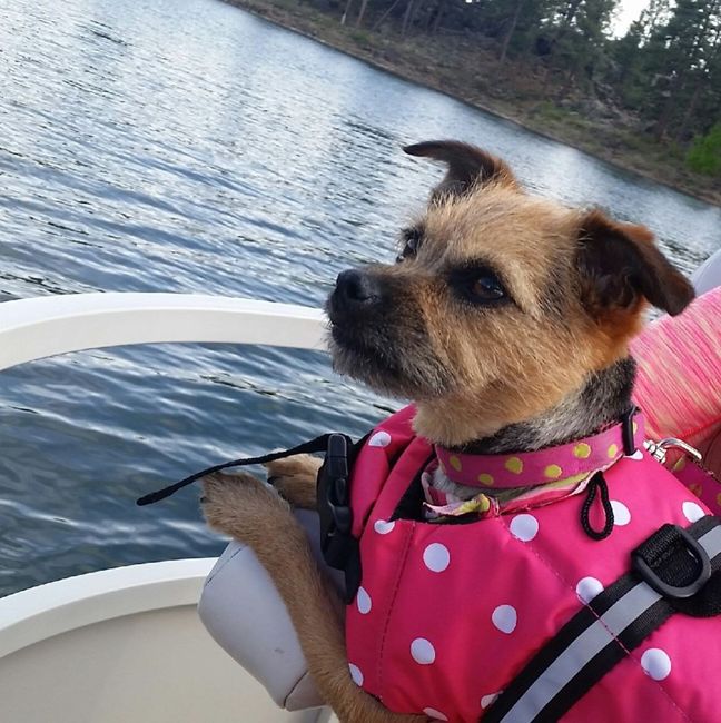 NWR: Show me your pups!