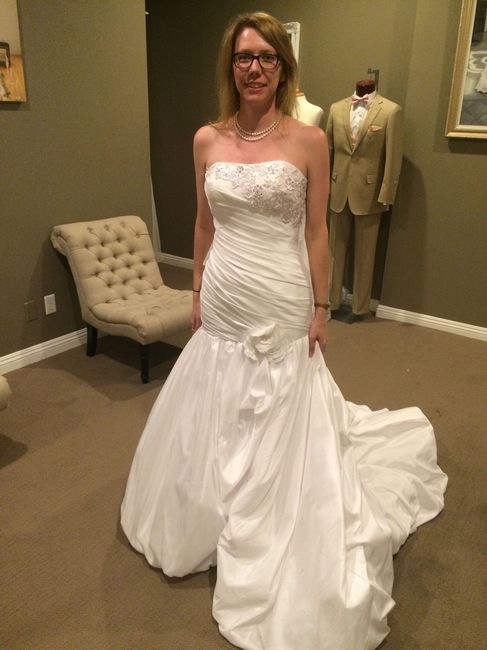 I Said Yes to the Dress - and a little intro