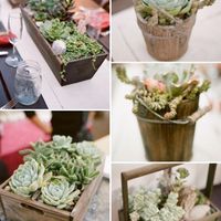 Show me your centerpieces!