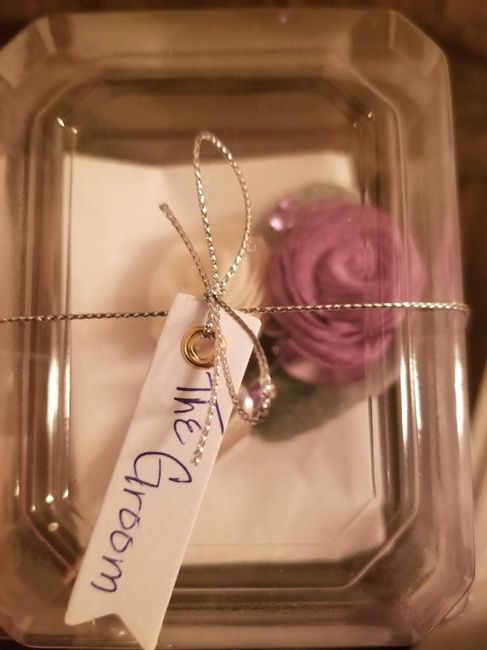 Update & Pictures! (lots) 12